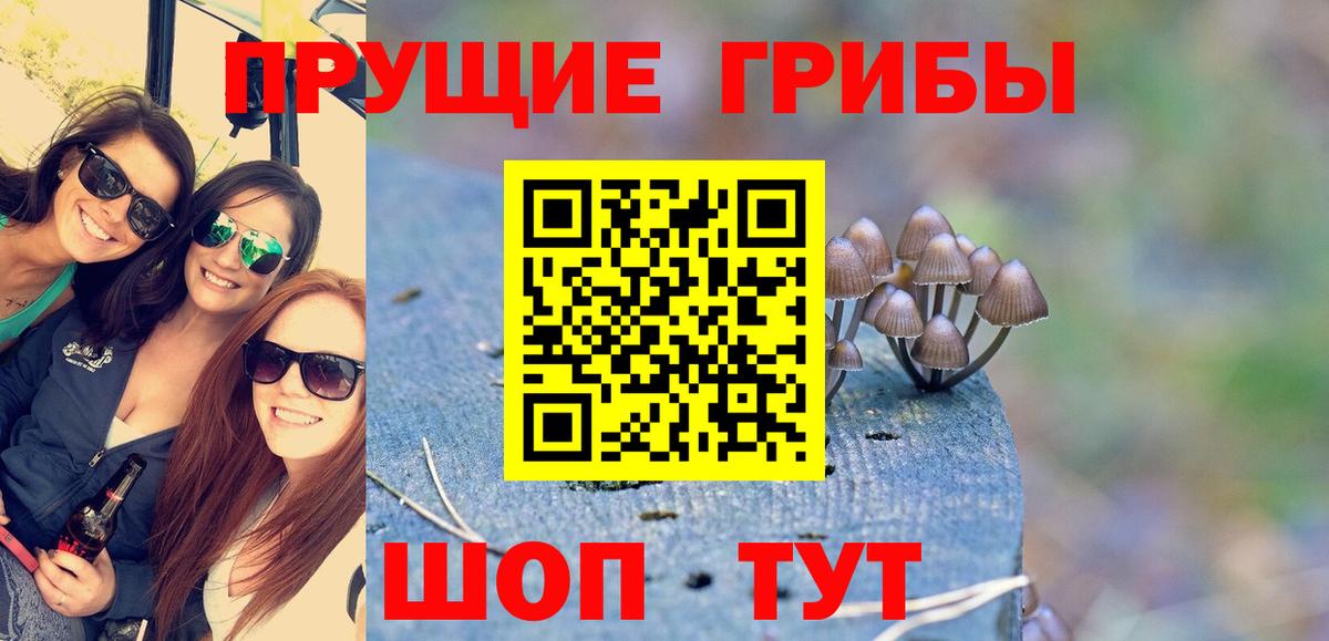 Воткинск  Псилоцибиновые грибы Magic Shrooms  Вход с VPN 